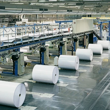 Целлюлозно-бумажная промышленность